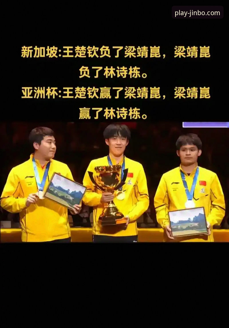 林诗栋王楚钦梁靖崑小组赛表现深度分析
